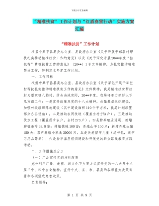“精准扶贫”工作计划与“红盾春雷行动”实施方案汇编