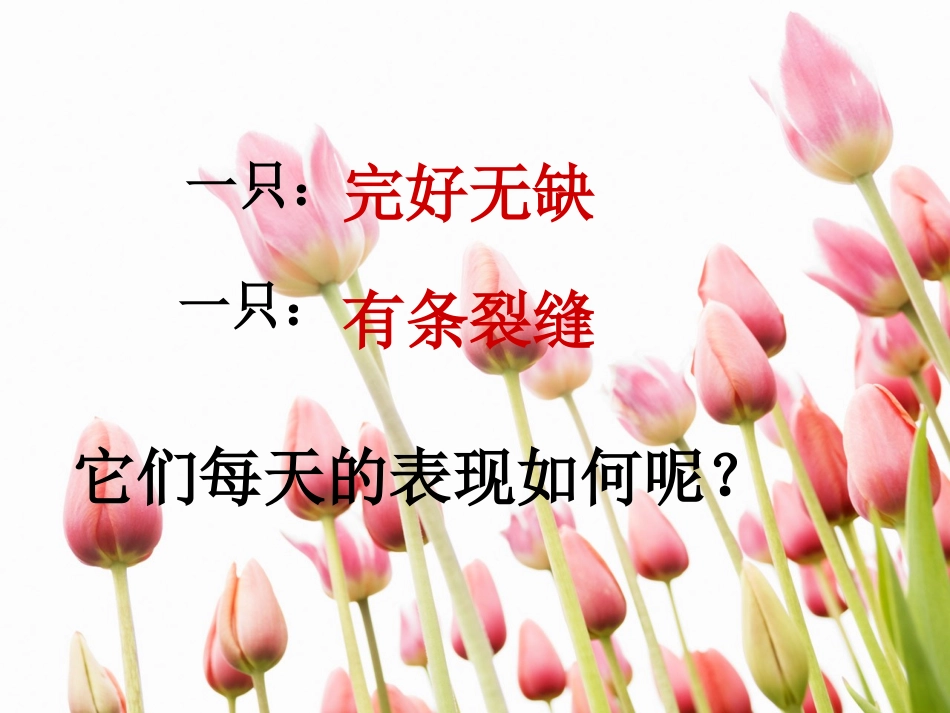 一路花香优质课件_第3页