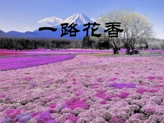 一路花香优质课件