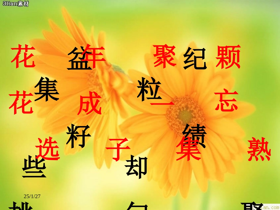 手捧空花盆的孩子 (4)_第3页