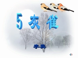 小学语文公开课《灰雀》的课件