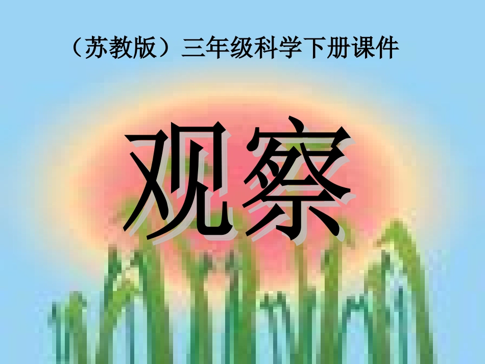 三年级科学下册《观察》PPT课件之二(苏教版)_第1页