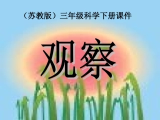 三年级科学下册《观察》PPT课件之二(苏教版)