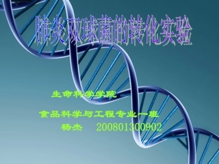 肺炎双球菌的转化实验
