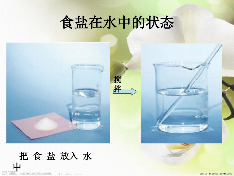 小学科学《物质在水中是怎样溶解的》_第1页