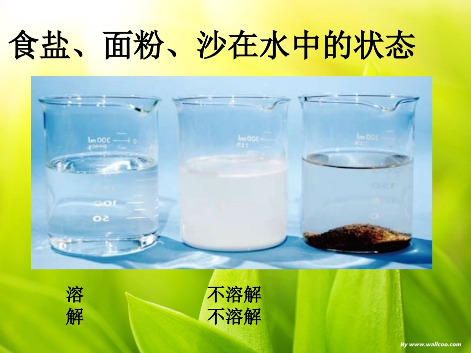 小学科学《物质在水中是怎样溶解的》_第3页