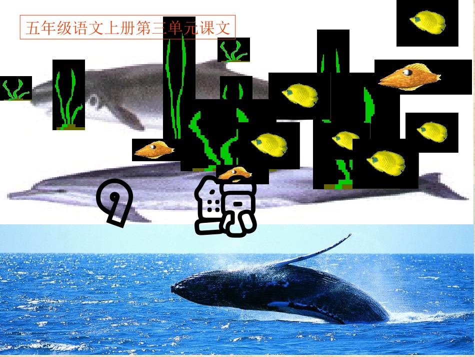 陈艳娣《09鲸》PPT课件_第1页