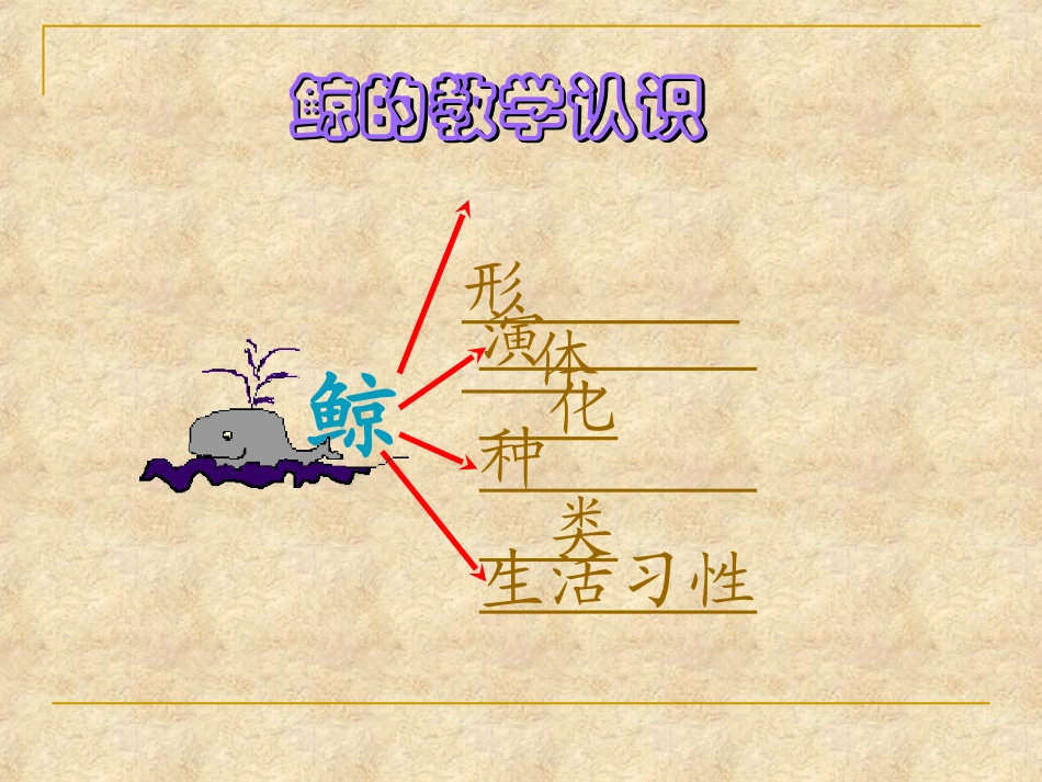 陈艳娣《09鲸》PPT课件_第2页
