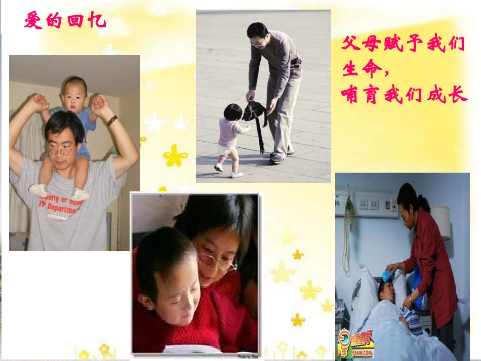 八年级政治第一课走进父母——难报三春晖_第3页