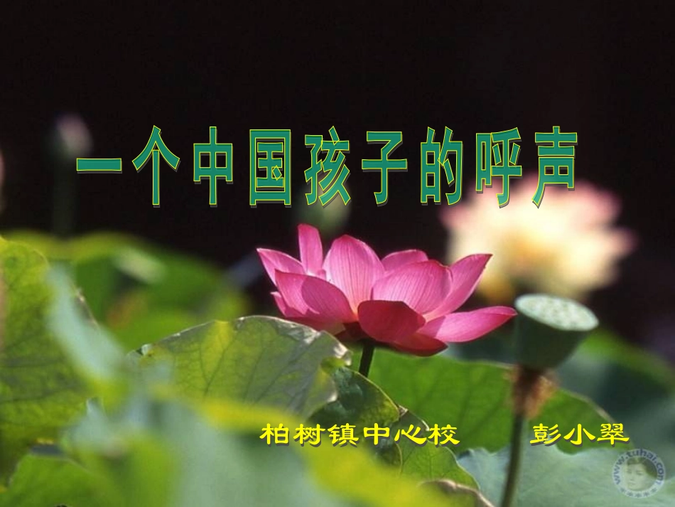 一个中国孩子的呼声1_第1页