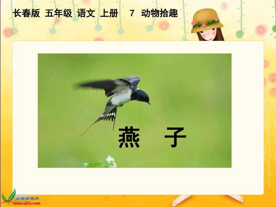(长春版)五年级语文上册课件-燕子-1 (2)_第1页