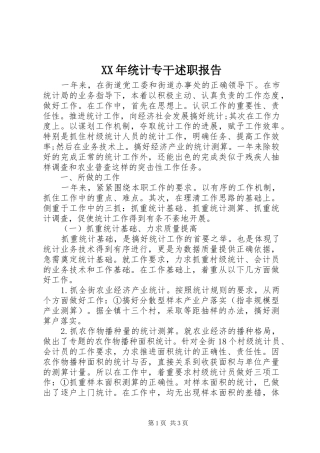 XX年统计专干述职报告