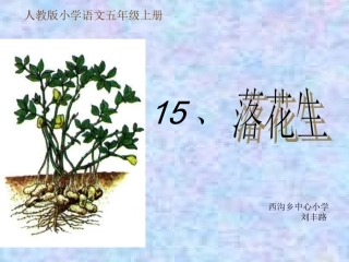 说课稿落花生姚妍