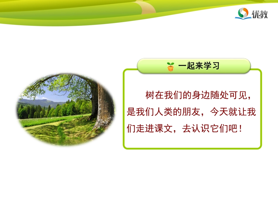 《树之歌》名师精品课件_第2页