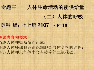 人体的呼吸（96）