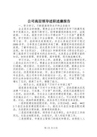 公司高层领导述职述廉报告