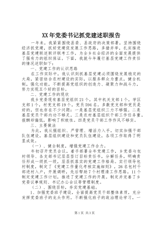 XX年党委书记抓党建述职报告