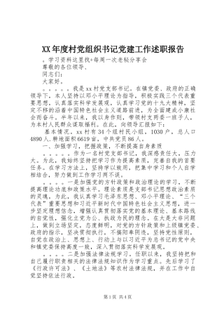 XX年度村党组织书记党建工作述职报告