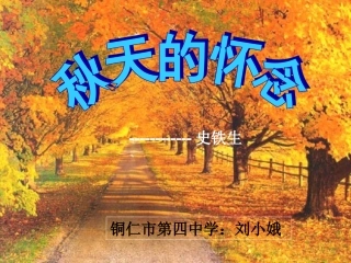 秋天的怀念课件12