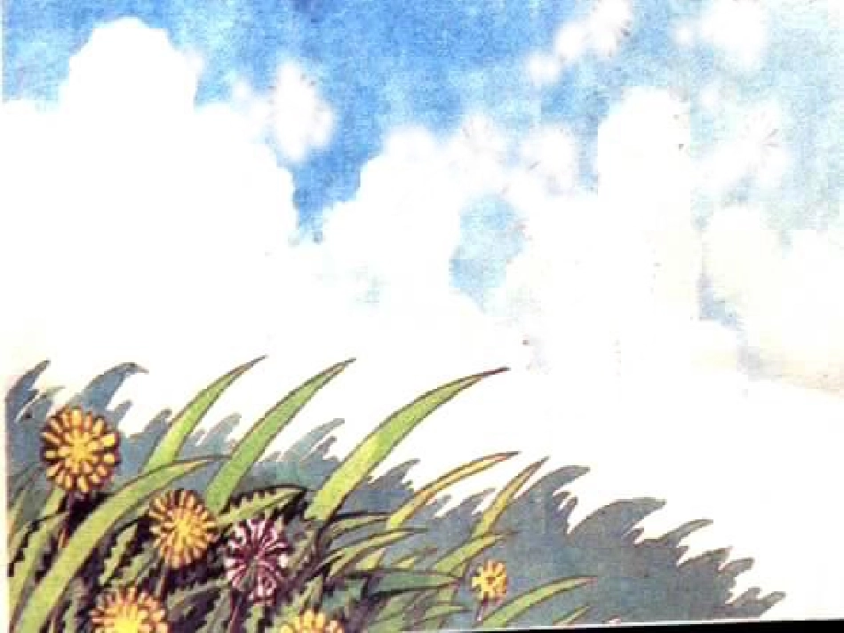 人教二上语文《植物妈妈有办法》课件_第3页