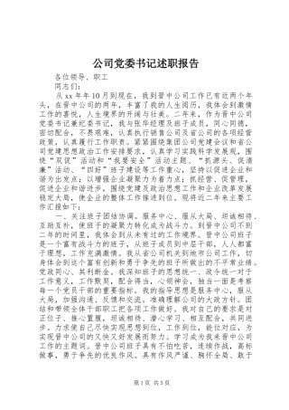 公司党委书记述职报告