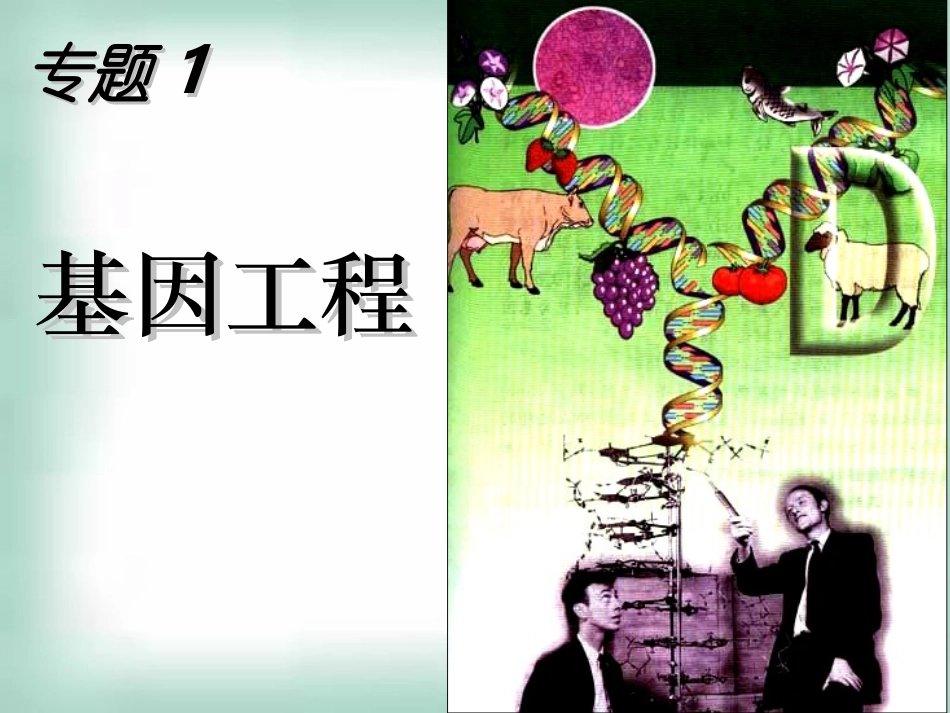 选修三11DNA重组技术的基本工具_第1页