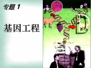 选修三11DNA重组技术的基本工具