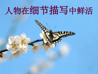 人物在细节描写中鲜活