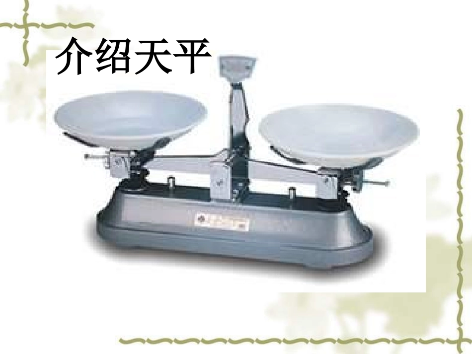 五年级数学方程的意义_第2页