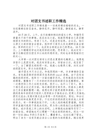 对团支书述职工作精选