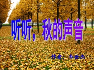 听听秋天的声音_音乐