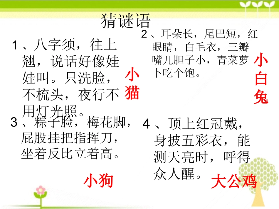 小学语文四年级可爱的动物教学课件_第1页