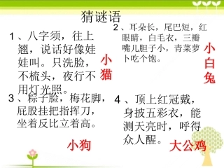 小学语文四年级可爱的动物教学课件