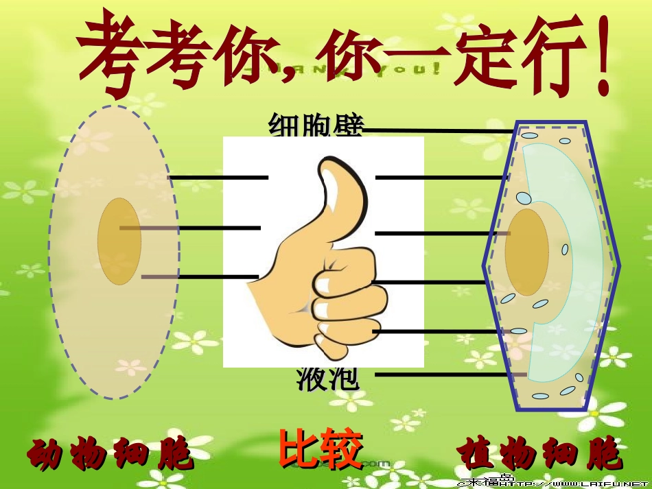 初中一年级生物上册第二单元生物体的结构层次第一章第四节细胞的生活第一课时课件_第2页