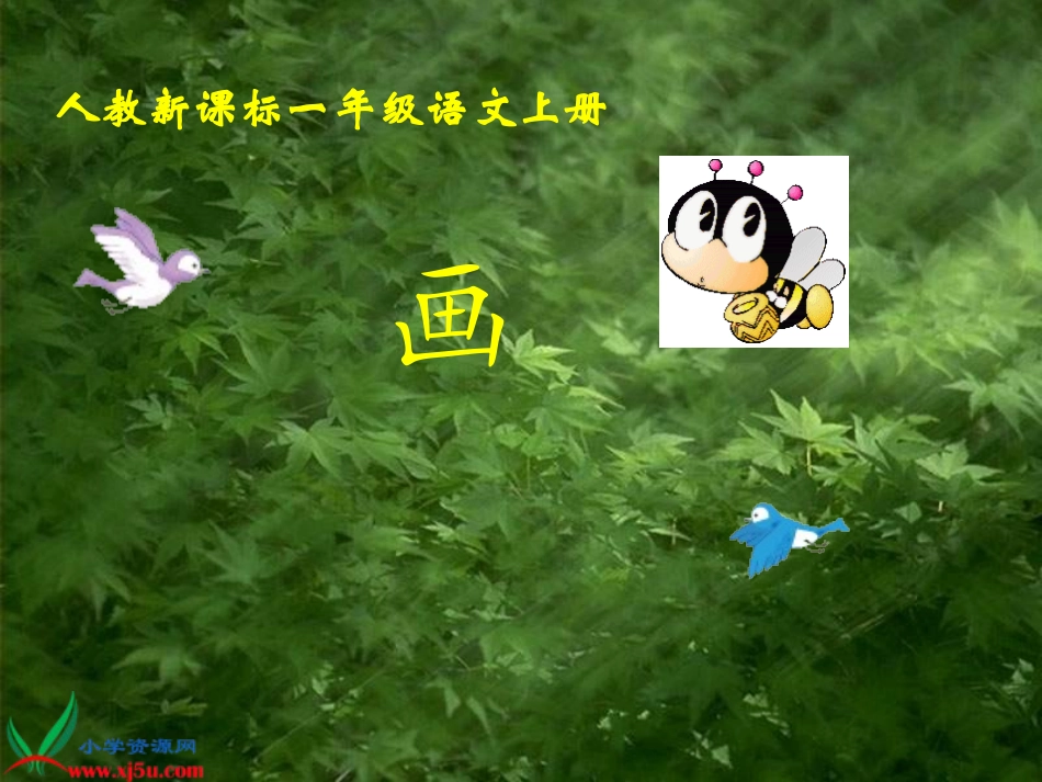 《画》教学演示课件_第1页