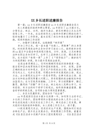 XX乡长述职述廉报告