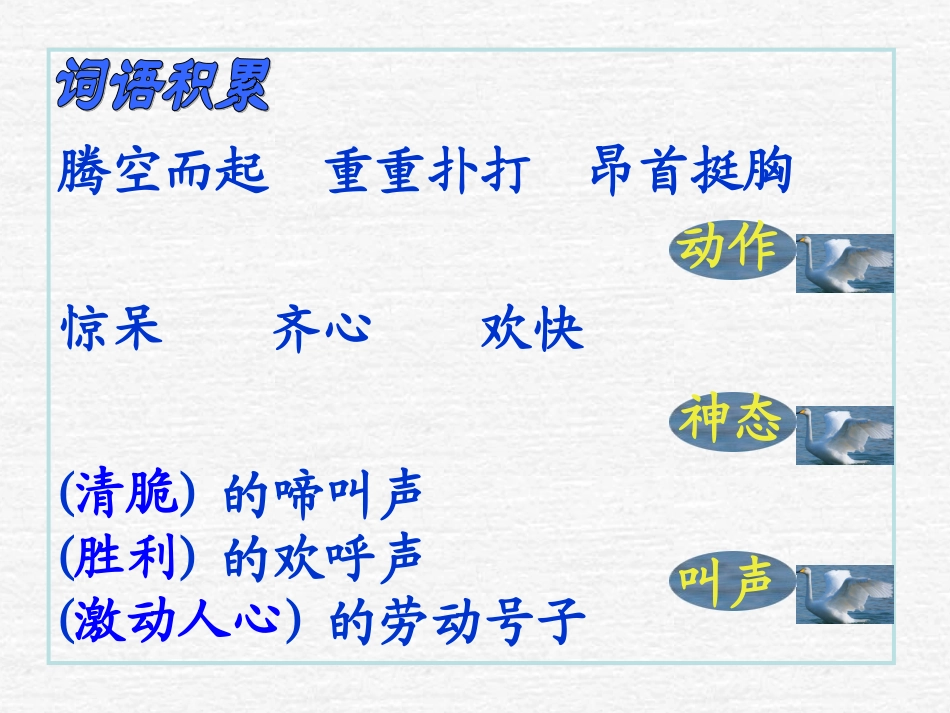 天鹅的故事（修改版2）_第3页