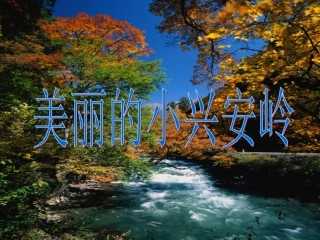 美丽的小兴安岭1