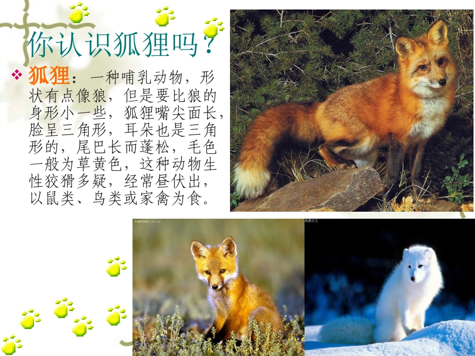 复件金色的脚印PPT课件高_第2页