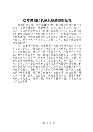 XX年度副区长述职述廉述效报告