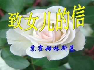 《致女儿的信》PPT