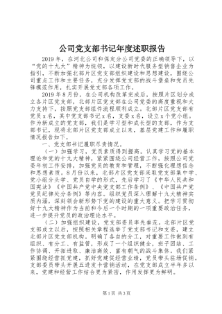 公司党支部书记年度述职报告