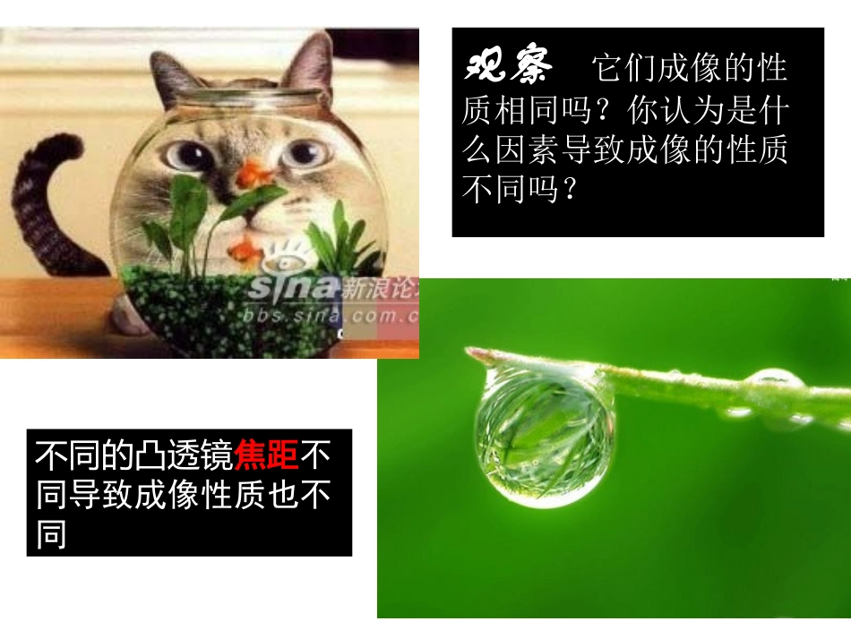 凸透镜成像规律课件_第1页