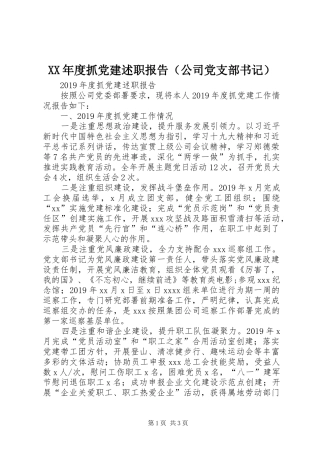 XX年度抓党建述职报告（公司党支部书记）