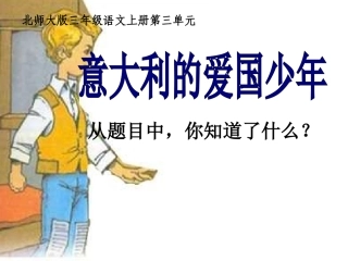 意大利的爱国少年王卉