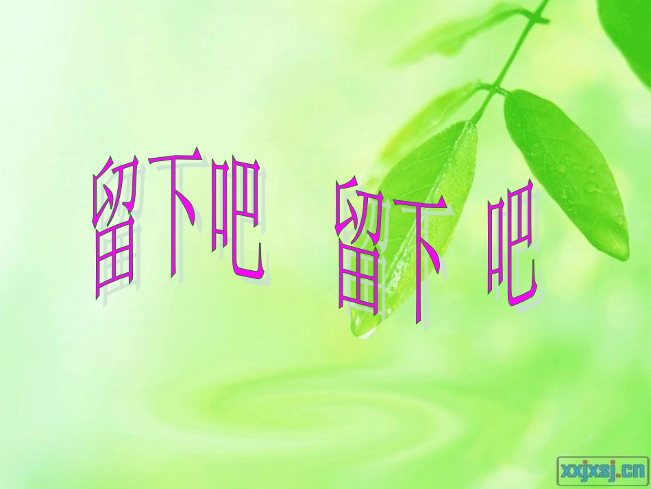 五年级音乐《留给我》黄凤_第3页