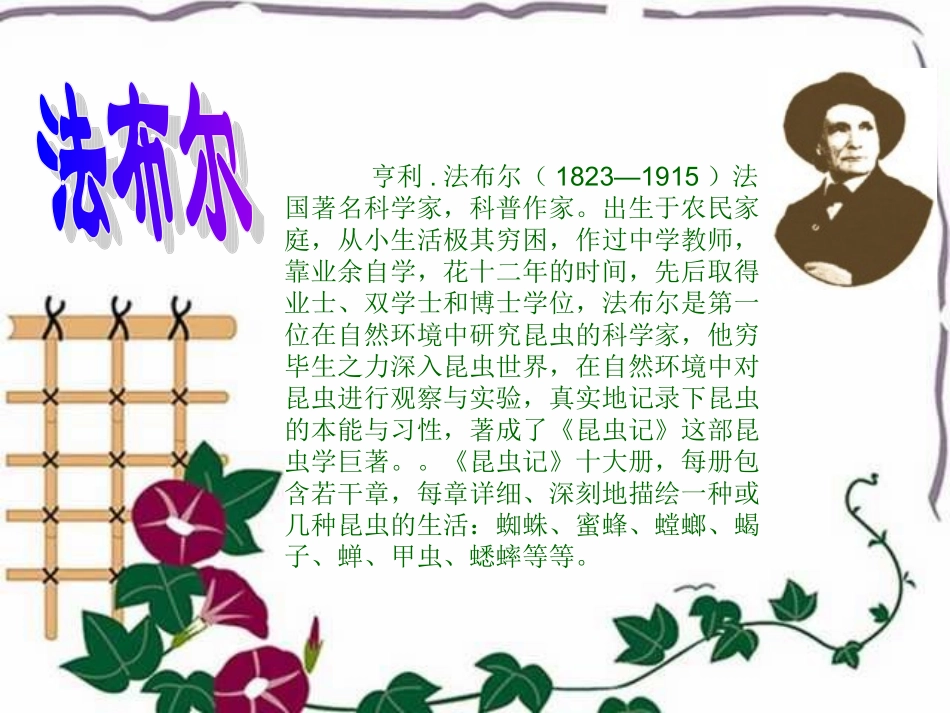 小学三年级上册语文第十四课蜜蜂PPT课件2_第2页