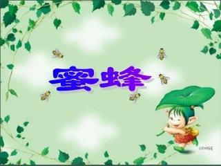 小学三年级上册语文第十四课蜜蜂PPT课件2