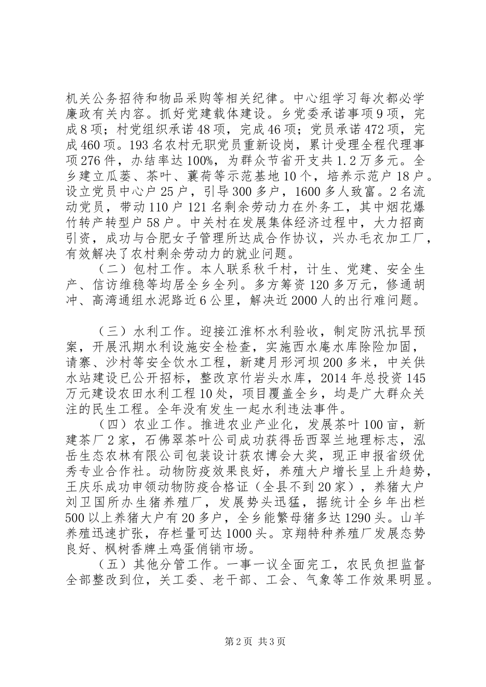 乡副乡长个人述职报告_第2页