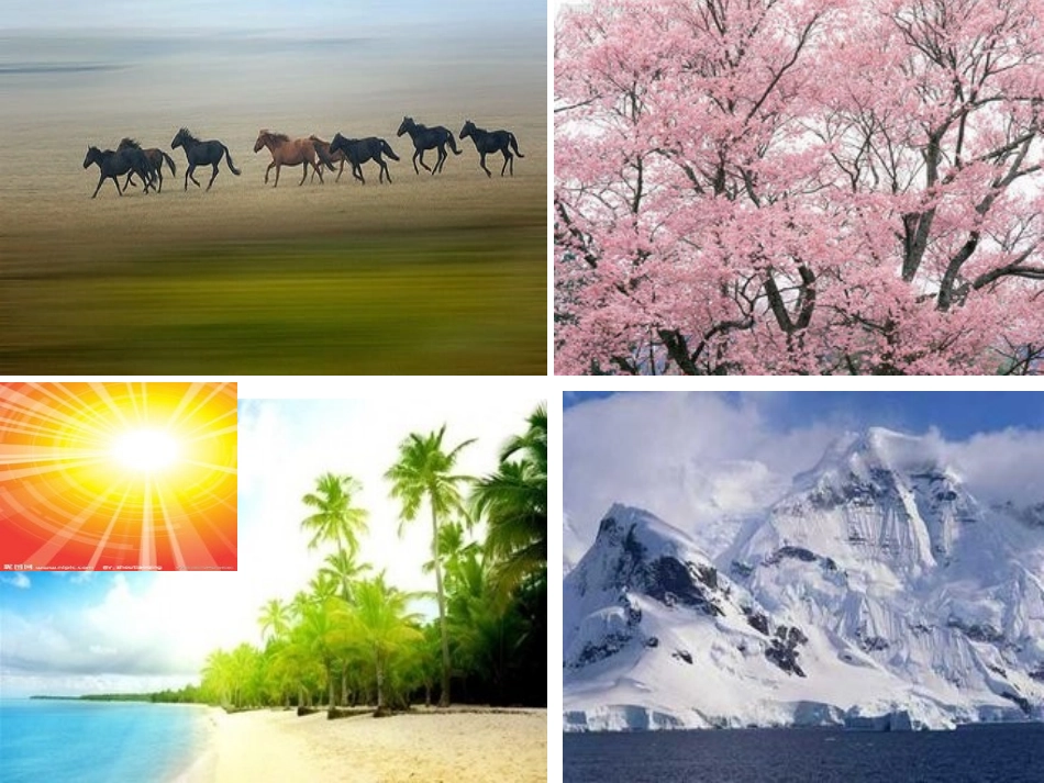 苏教版二年级语文识字6课件_第3页